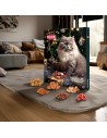 Calendrier de l'avent 2025 pour Chat Trixie - Animaux