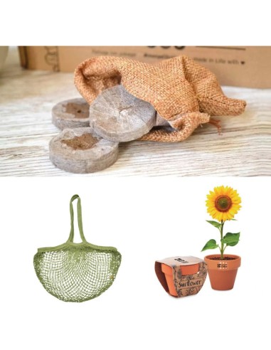 Calendrier de l'avent 2025 Permacool - Graines & Outils