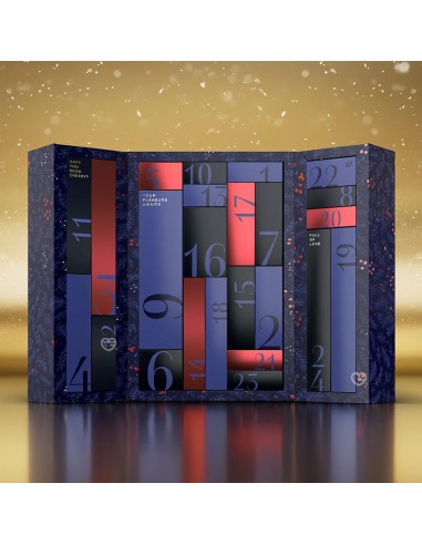 Calendrier de l'avent 2025 Satisfyer - 24 Jours Sexy Premium