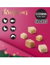 Calendrier de l'avent 2025 pour Chat Cosma Snackies - Friandises