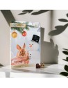 Calendrier de l'avent 2025 Rongeur Grainless - Lapin Hamster