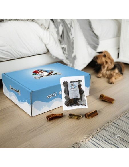 Calendrier de l'avent 2025 pour Chien Cani- Animal