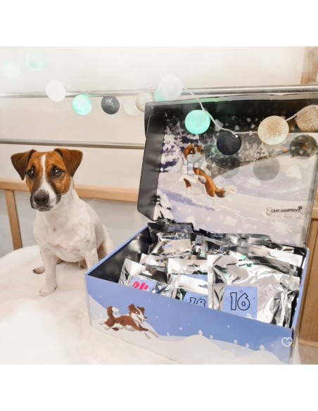 Calendrier de l'avent 2025 pour Chien Cani- Animal