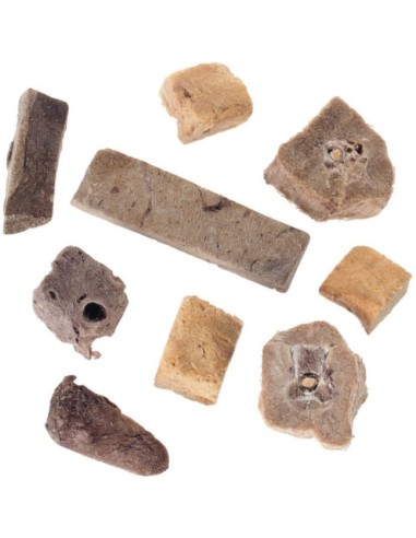 Calendrier de l'avent 2025 pour Chien - Wolf Of Wilderness