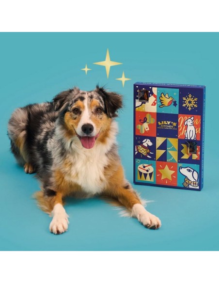 Calendrier de l'avent 2025 pour Chien Lily's Kitchen -10%