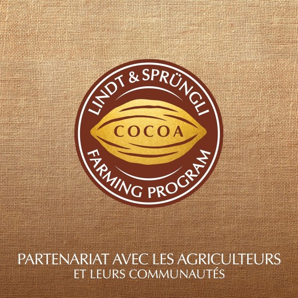 Calendrier de l'avent 2025 Lindt Ours - 24 Chocolats