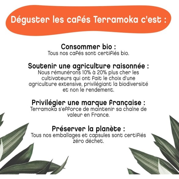 Calendrier de l'avent Café Bio 2025 - Promo..