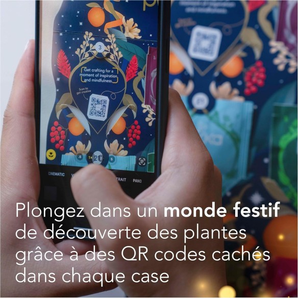 Calendrier de l'avent 2025 Pukka - Thés & Infusions