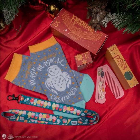 Calendrier de l'avent 2025 Harry Potter Cinereplicas Deluxe