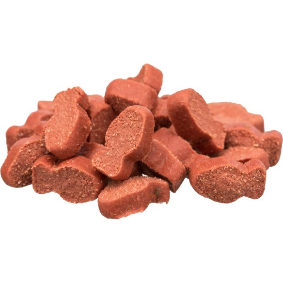 Calendrier de l'avent 2025 pour Chat Trixie - Animaux